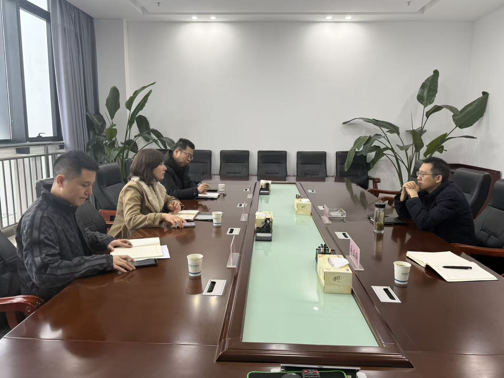 担保集团1 担保集团1